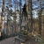 hrad-vranov-na-male-skale